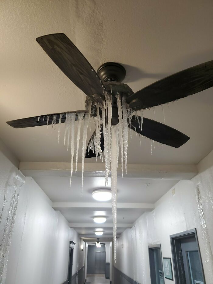 Icicles hanging from a ceiling fan in a hallway, showcasing nature's impact indoors with ice formations.