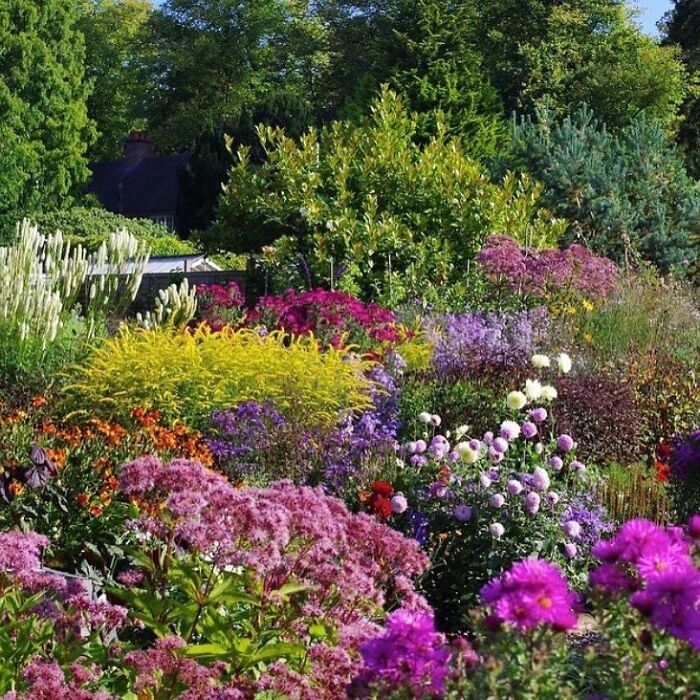 Beautiful-Gardens-Instagram