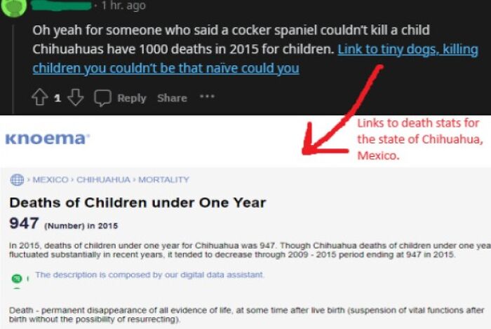 Chihuahua's K*ll More Infants Than Pitbulls