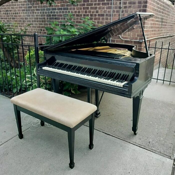 Grand piano with bench left on the NYC curb for treasure hunters, showcasing an unexpected street find.