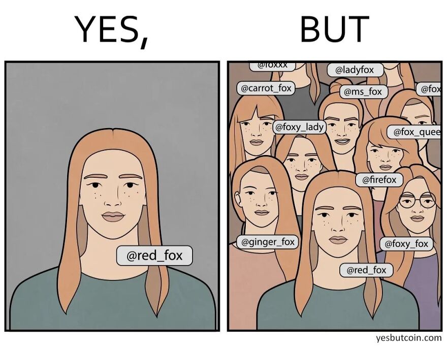 Cartoon showing a single woman labeled red fox contrasted with many similar faces labeled with fox-related usernames, illustrating societal contradictions.