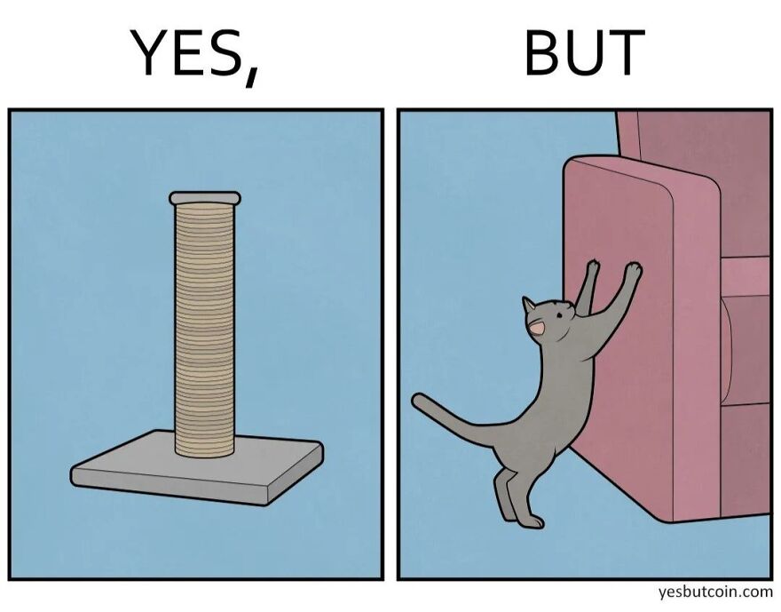 Comic illustration showing a cat scratching post labeled yes and a cat scratching sofa labeled but, highlighting contradictory nature.