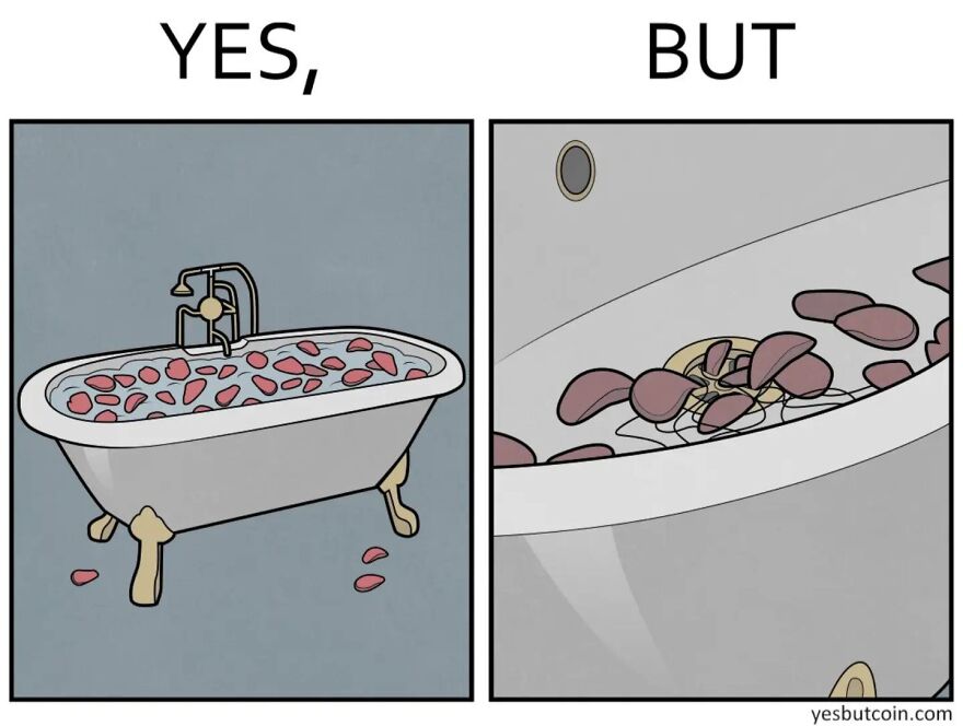 Comic illustration showing a bathtub filled with rose petals and a clogged drain, highlighting society’s contradictory nature.