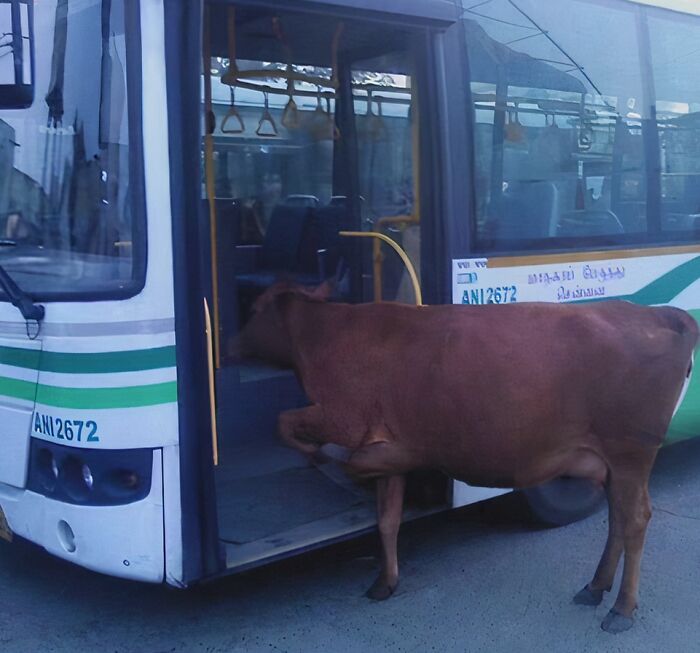 Rare-Indian-Images-Funny-Pics