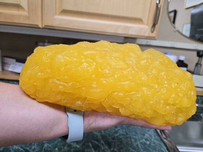 Forbidden Raisin (What 5 Lbs Of Fat (Made Of Rubber) Looks Like In Your Hand)