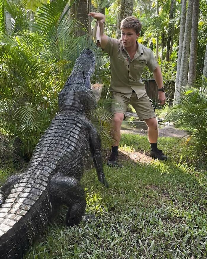 Robert Irwin Suffers Freak Accident While On Top Of Crocodile&rsquo;s Head
