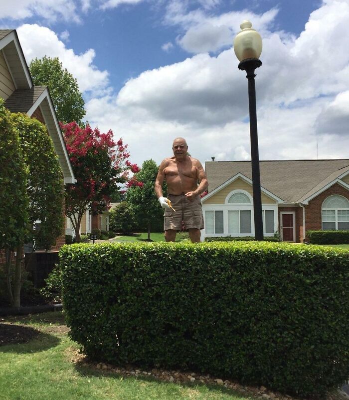 My Grandpa Was Trimming The Shrubs On A Step Ladder With Scissors. When Asked What He Was Doing, He Turned Around And Flexed On Us. He's 80