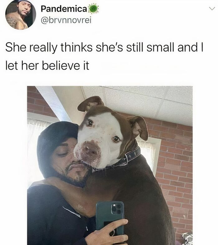 Joyful-Stories-Jokes-Buzzplusofficial