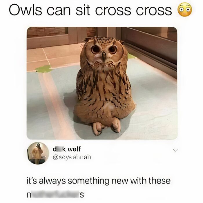 Joyful-Stories-Jokes-Buzzplusofficial