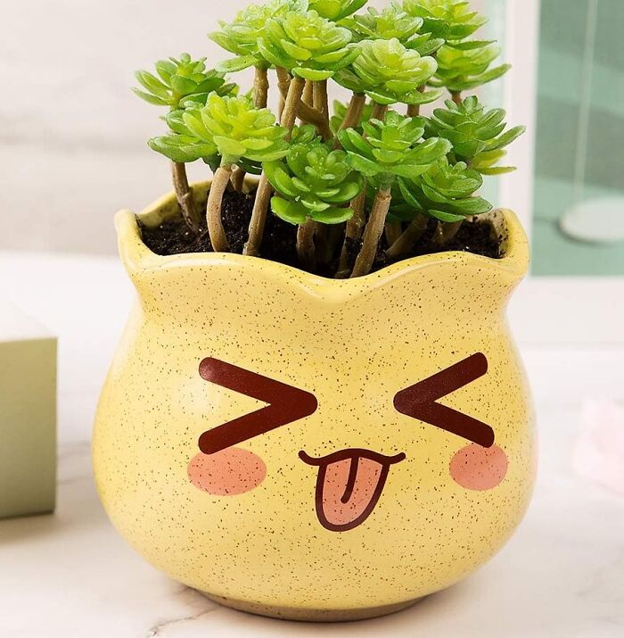 These Adorable Succulent Pots Show How You Really Feel On The Inside