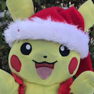 pikachudluffy avatar