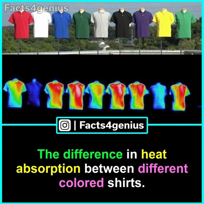 Different colored shirts showing heat absorption in a thermal image, highlighting interesting facts for genius.