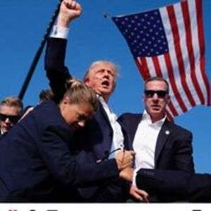 dressyourhorse avatar