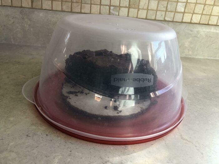 Don’t Have A Cake Dome? Use A Tupperware Container Upside Down To Store It