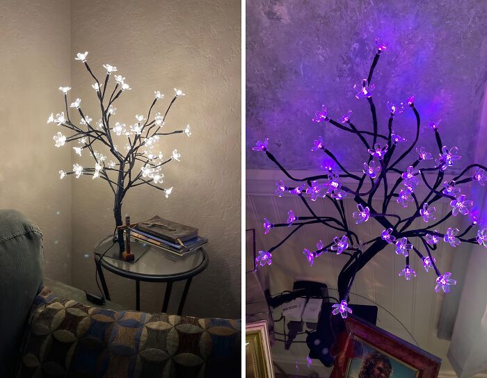 This Gorgeous LED Cherry Blossom Bonsai Tree Lamp Will Transform Any Room With Its Warm, Cozy Glow