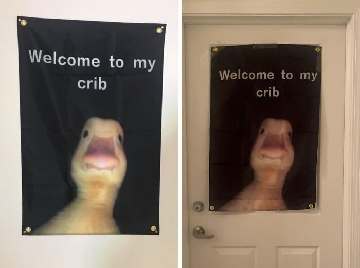 Wave Goodbye To Boring Walls With This Welcome To My Crib Funny Flag