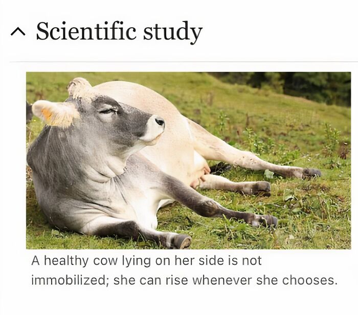 Weird-Funny-Wikipedia-Articles