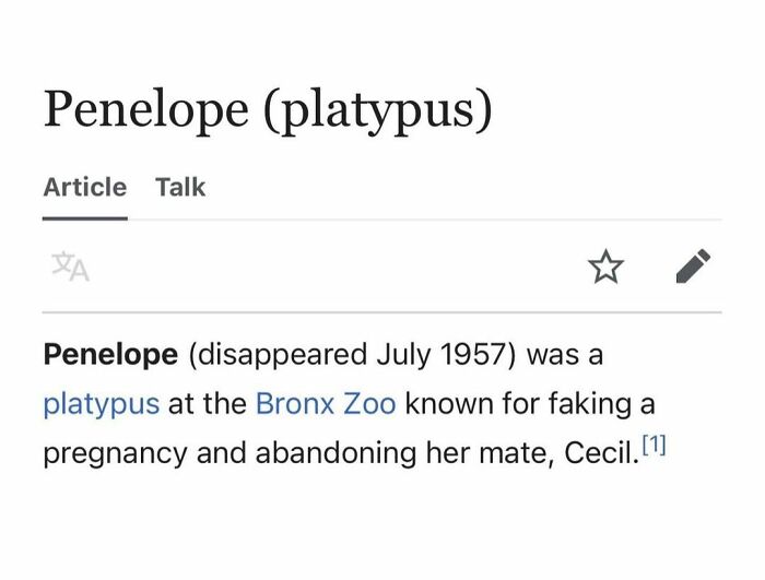 Weird-Funny-Wikipedia-Articles