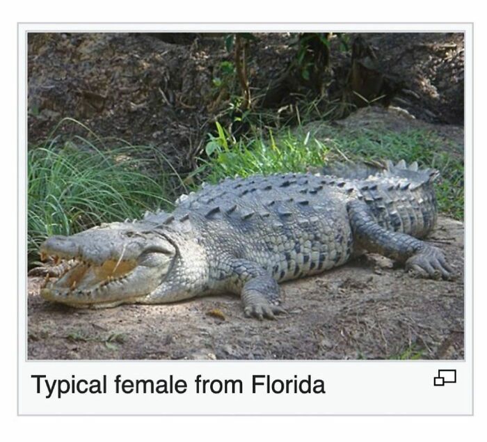 Weird-Funny-Wikipedia-Articles