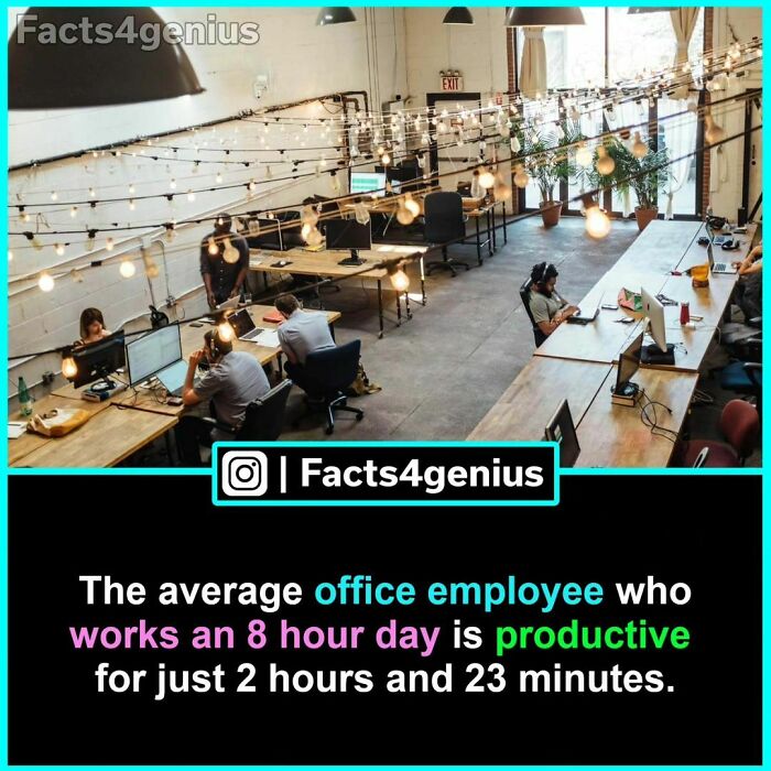 Open office space with employees at desks, featuring string lights and a productivity fact overlay.