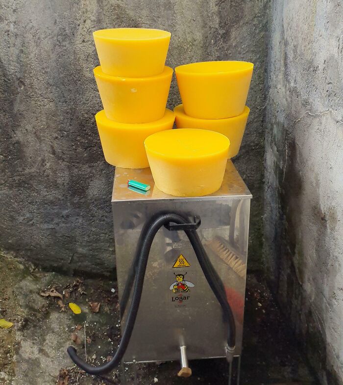 This Year's Wax Cappings Are Rendered. They Look Like Forbidden Cheese Wheels