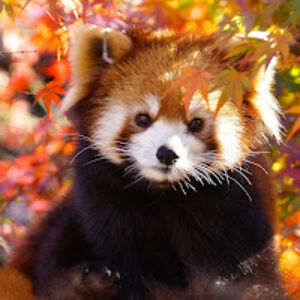 sarahparker_2 avatar