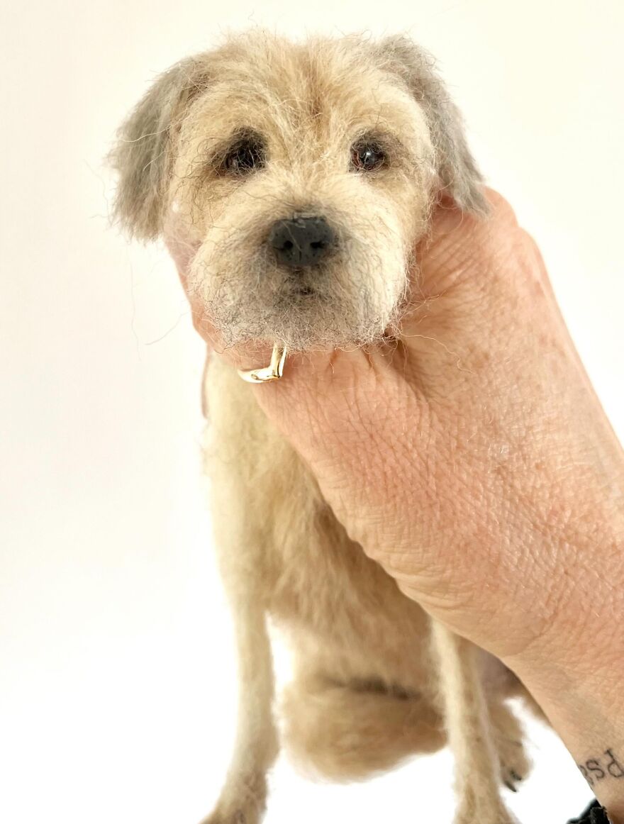 Needle-Felted Wonders: Curly Jo Hobbs Crafts Realistic Miniature Dogs And Donkeys