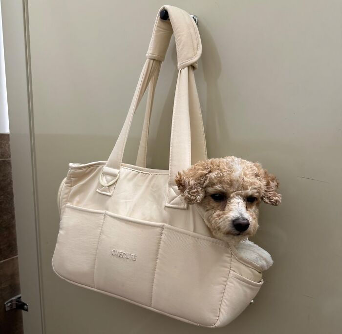 Ready For Every Journey: This Cotton Carrier With Generous Pockets Is Perfect For Small Pets And Their Essentials