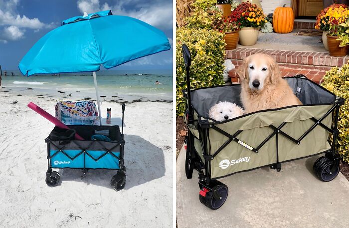 Collapsible beach wagon with umbrella on sand and dog sitting in a wagon on a doorstep.
