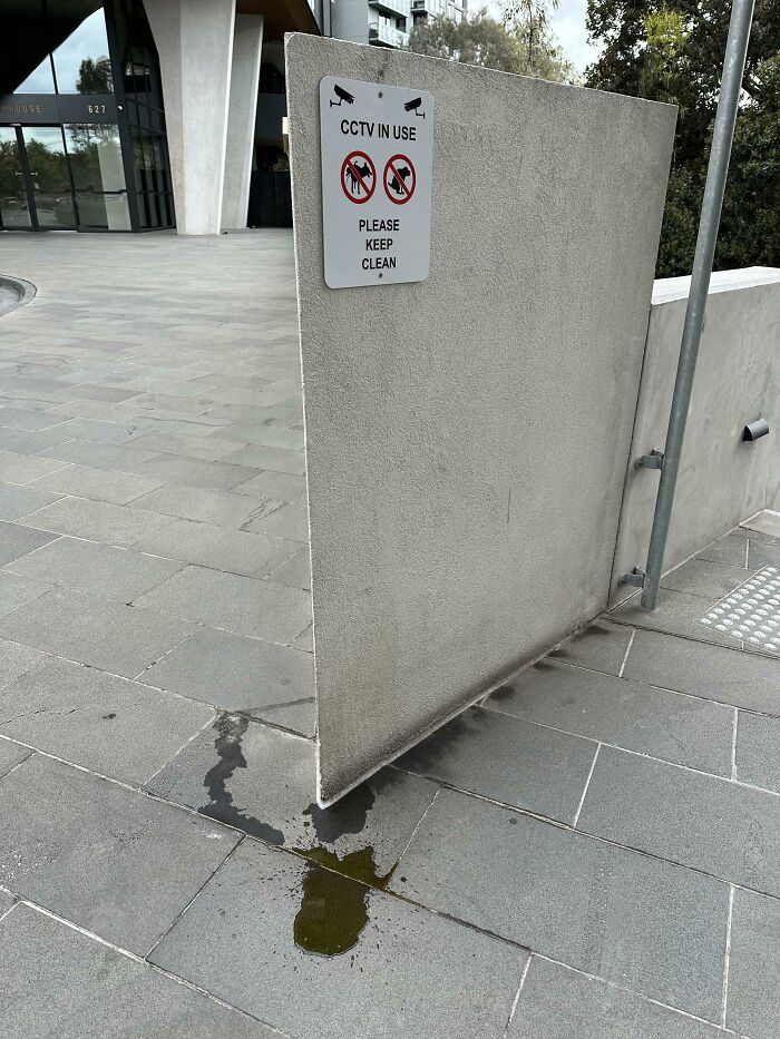 Someone Flat Out Daring Them To Check The Cameras