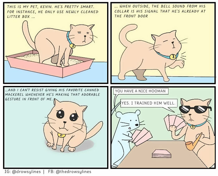 Panda-Monium And Other Laughs: 26 Drowsy Lines Comics That’ll Have You Roaring (26 Pics)