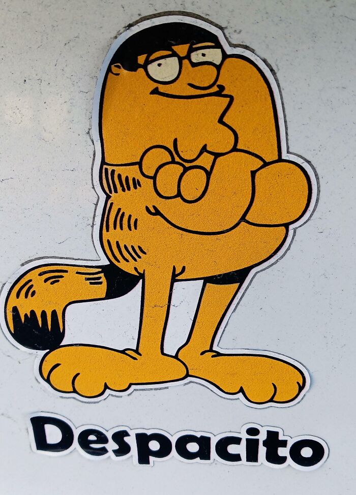 This Weird Peter Griffin And Garfield Bumper Sticker I Saw