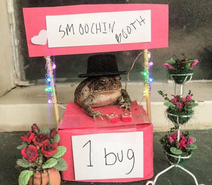 All The Smooches Please