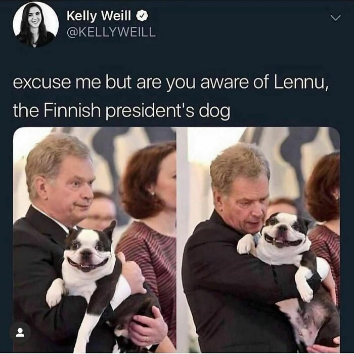 Awkward moment with Finnish president holding smiling dog, Lennu, in a public setting.