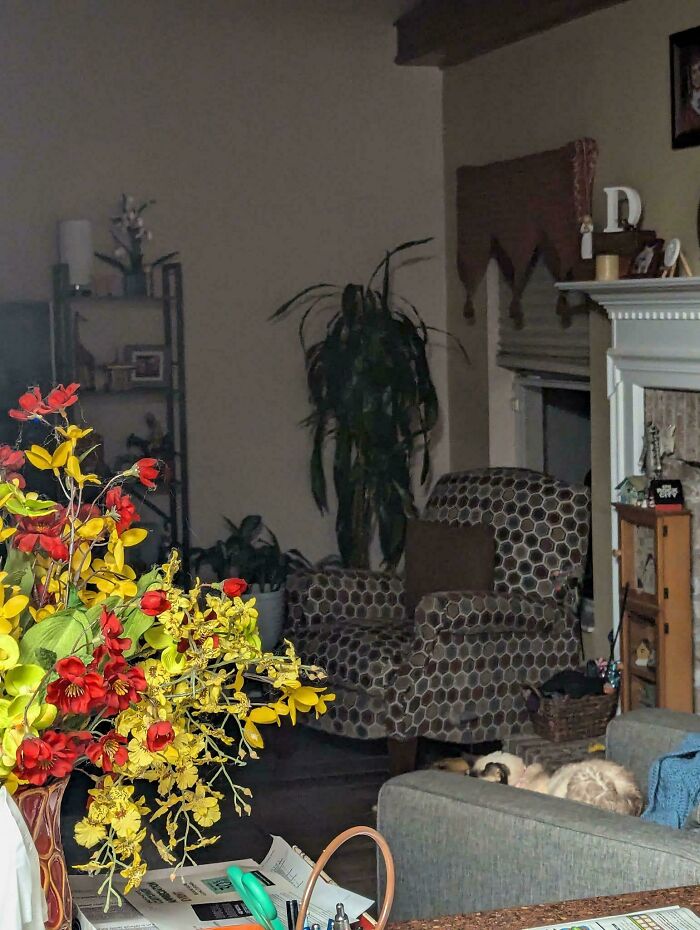 Flores coloridas en una sala oscura con silla, plantas y chimenea; escena extrañamente aterradora.