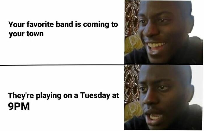 Hilarious-Random-Memes-Thesafewordisavocado