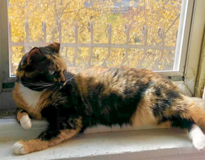 People Online Can&rsquo;t Get Enough Of Guy Who Rented A Billboard With A Humorous Ad To Get A Date