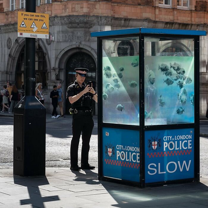 Banksy's "London Zoo": Nine New Graffiti Pieces Roar To Life In The Streets Of London