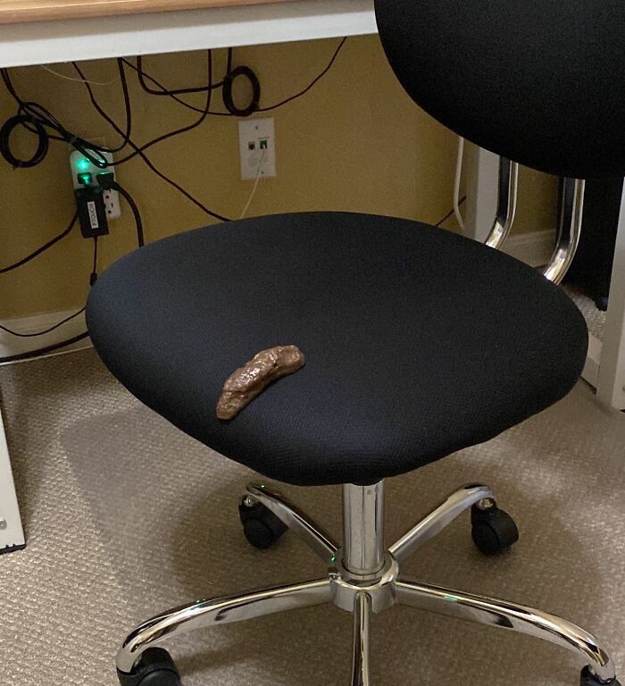 Forget About Whoopee Cushions, This Fake Poo Is The Ultimate Prankster's Tool – It's Guaranteed To Get A Reaction