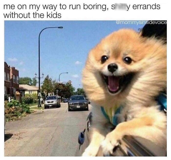 Muddled-Up-Mummy-Official-Parenting-Memes