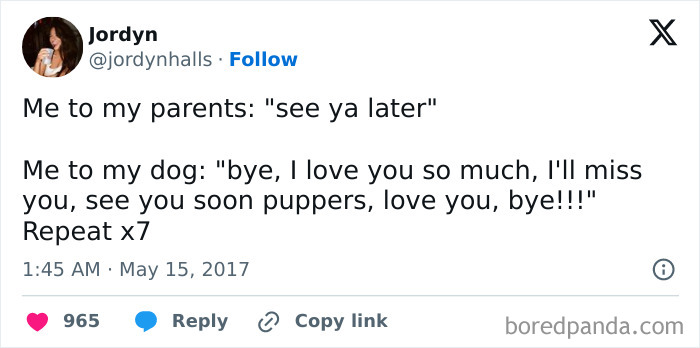 Funny-Tweets-About-Dogs