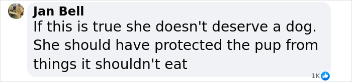 Lily Allen Says She Returned "F---ing" Puppy For Eating Family&rsquo;s Passports: &ldquo;[It] Ruined My Life&rdquo;