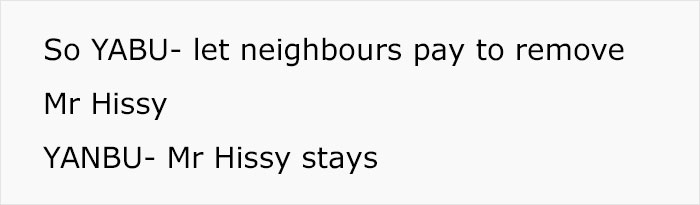 Python Lives Peacefully Under Woman’s House for Years, Neighbor Suddenly Insists on Removing It Python Lives Peacefully Under Woman’s House for Years, Neighbor Suddenly Insists on Removing It