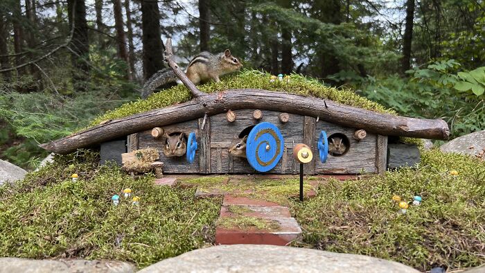 I Made A Tree Stump House I Made A Tree Stump House