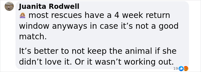 Lily Allen Refuses To Back Down After Receiving Backlash For &ldquo;Dumping&rdquo; Dog That Ate Her Passport