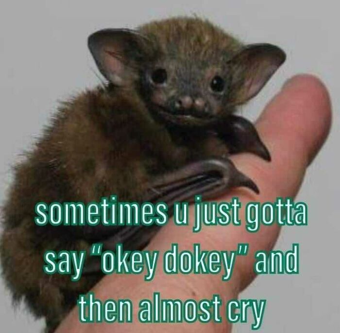 Relatable-Memes-With-Cyanide