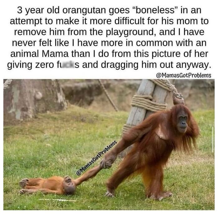 Muddled-Up-Mummy-Official-Parenting-Memes