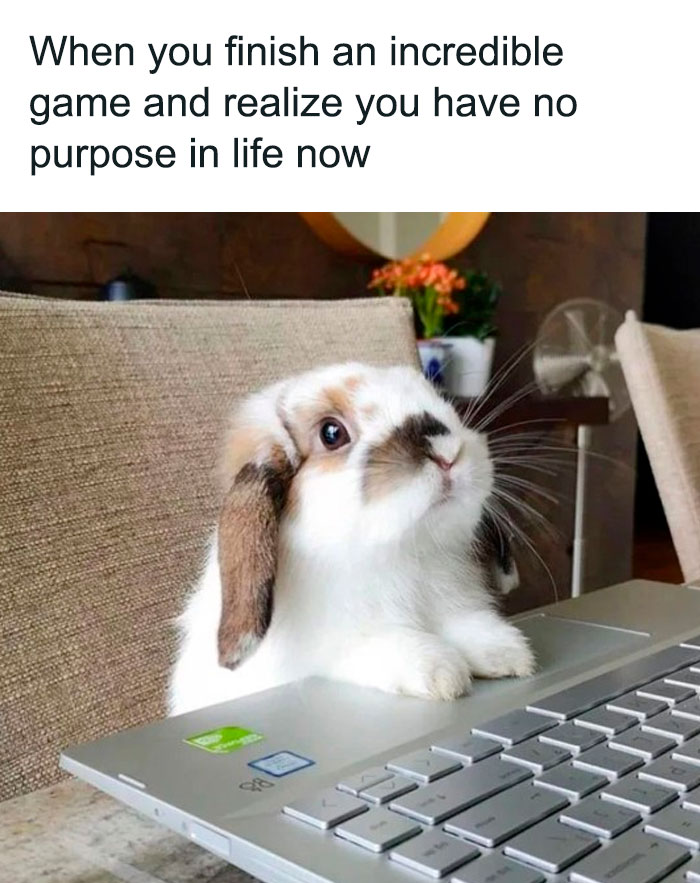 Funny animal meme with a cute bunny on a laptop, expressing a relatable sense of emptiness after completing a task.