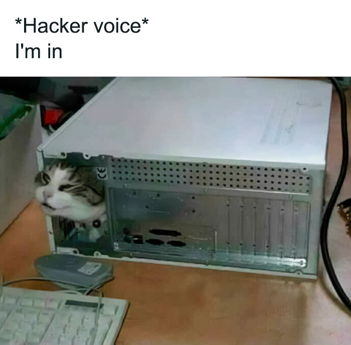 Cat peeks from computer tower with text "Hacker voice I'm in," showcasing funny animal meme and pets as comedians.