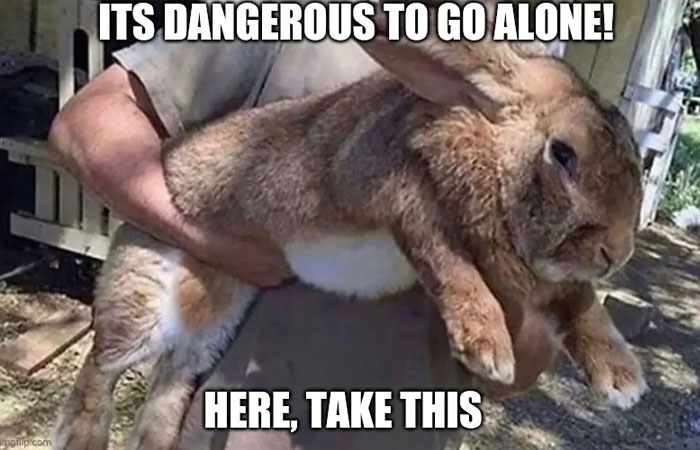 Funny animal meme of a large rabbit being held with text "It's dangerous to go alone, take this," like a protective companion.